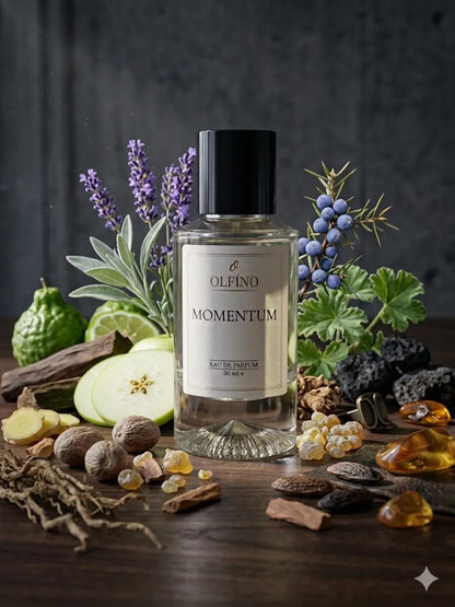 Parfum bărbați aromatic fresh – Olfino Momentum